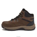 Footwear Hi-Tec Altitude VI I WP Dark Brown Tan Women 84VX6V25