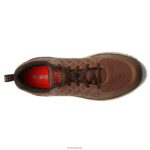 Footwear Hi-Tec Destroyer Low Dark Brown Tan Men 84VX6V3 - Image 2