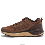 Footwear Hi-Tec Destroyer Low Dark Brown Tan Men 84VX6V3